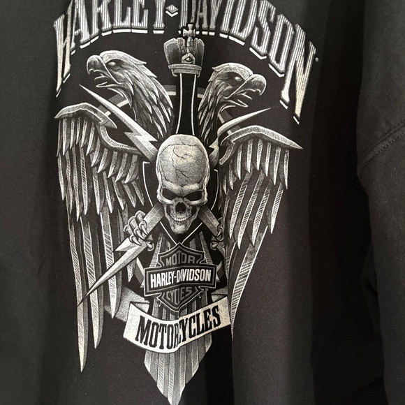 Harley-Davidson Men's Lightning Crest Pullover Hooded Sweatshirt - Picture 10 of 10